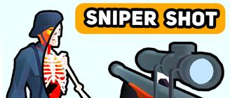 Game Sniper Shot: Bullet Time preview