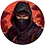 Game image for Ninja