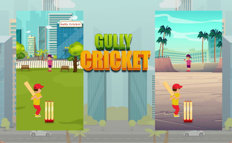 Game Gully Cricket preview